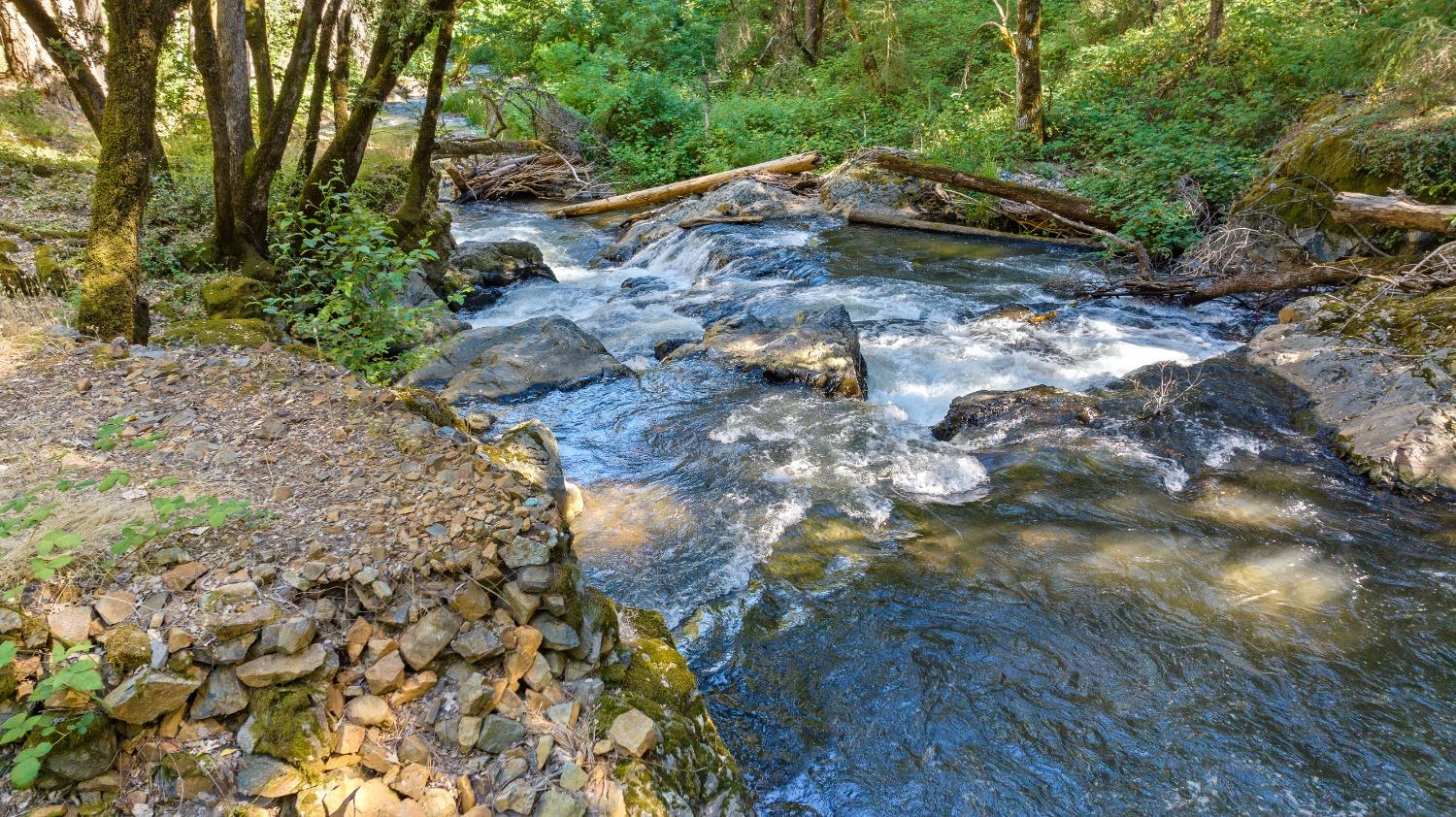 Detail Gallery Image 46 of 64 For 134 Buckingham Ct, Grass Valley,  CA 95949 - 3 Beds | 2 Baths