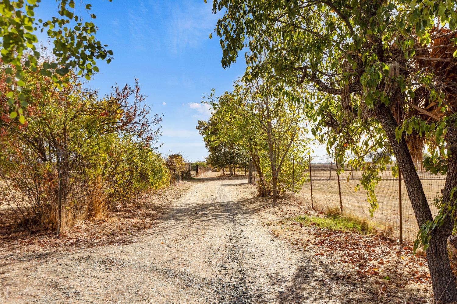 Detail Gallery Image 57 of 98 For 17650 E Collier Rd, Acampo,  CA 95220 - 4 Beds | 3/1 Baths