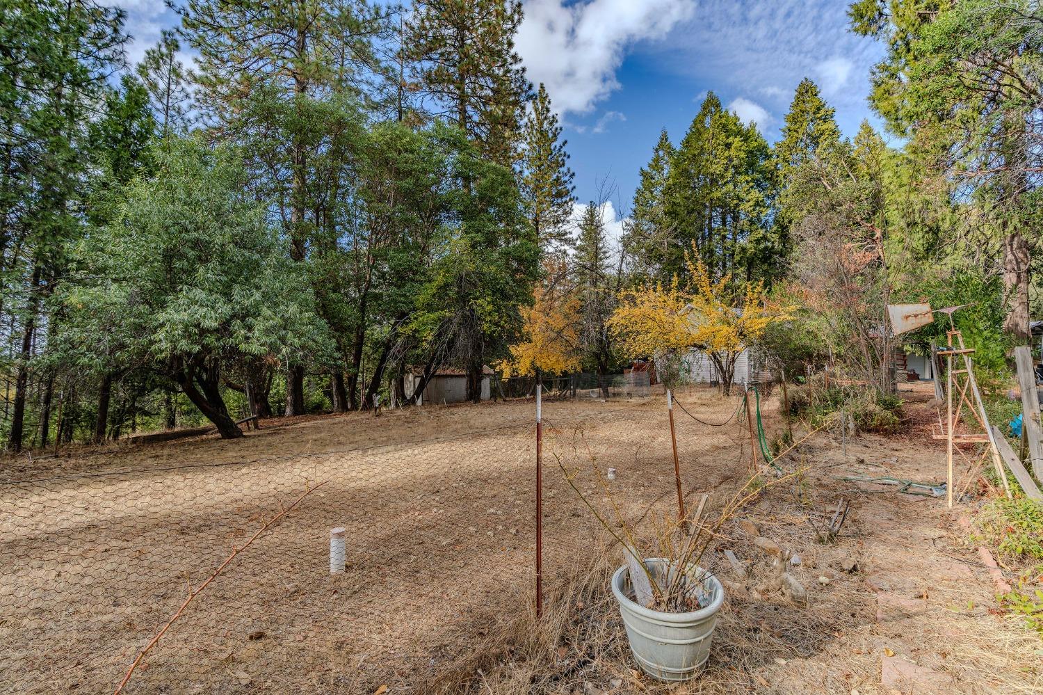 Detail Gallery Image 56 of 56 For 22260 Copper Ct, Volcano,  CA 95689 - 2 Beds | 2 Baths