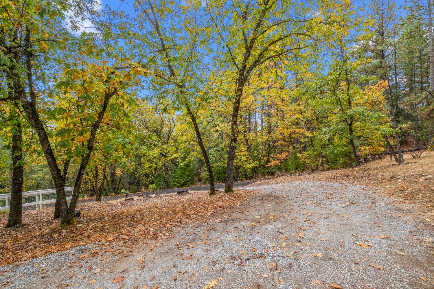 Detail Gallery Image 44 of 52 For 4935 Dowell Ln, Placerville,  CA 95667 - 3 Beds | 2 Baths