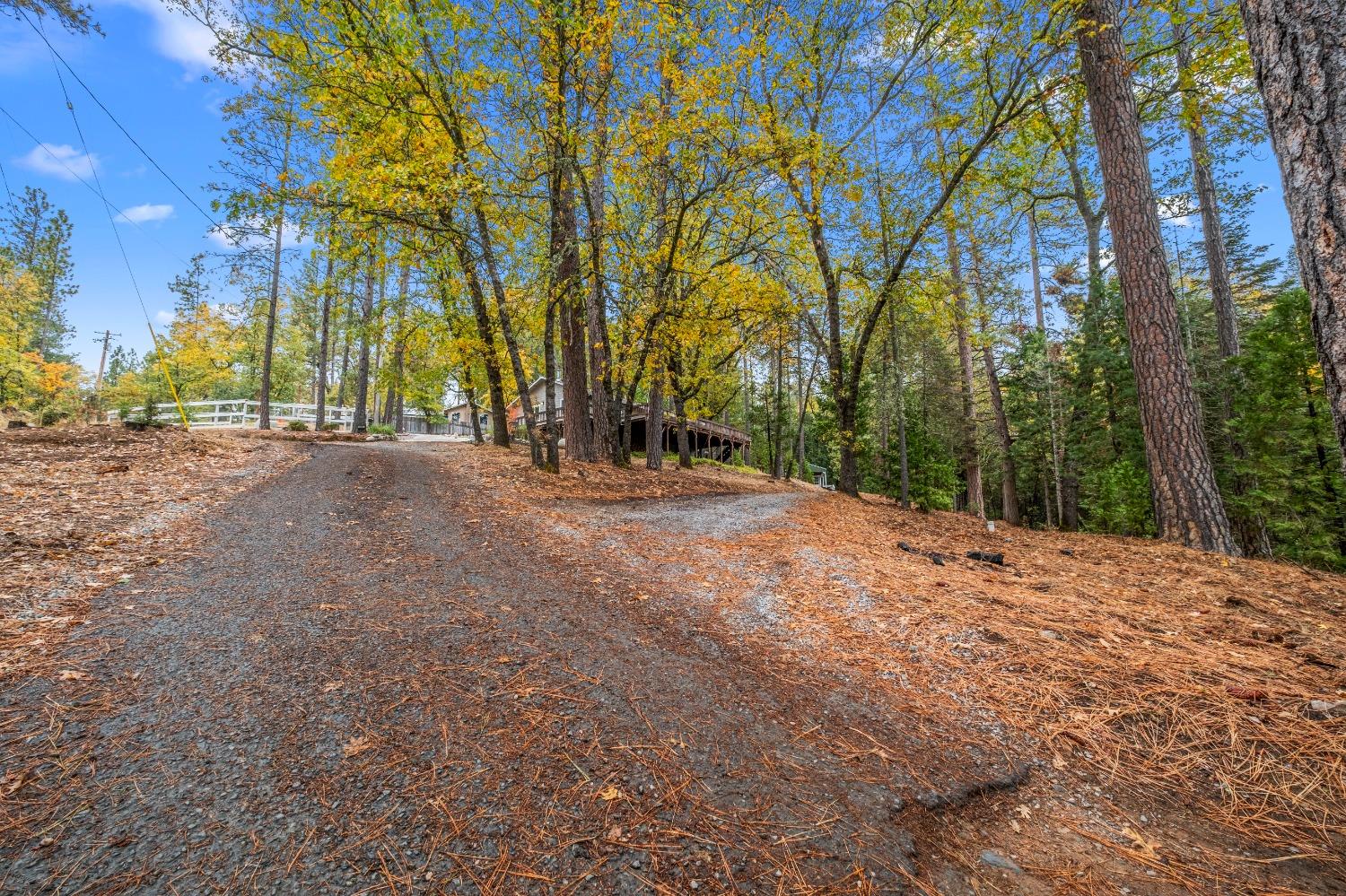 Detail Gallery Image 48 of 52 For 4935 Dowell Ln, Placerville,  CA 95667 - 3 Beds | 2 Baths