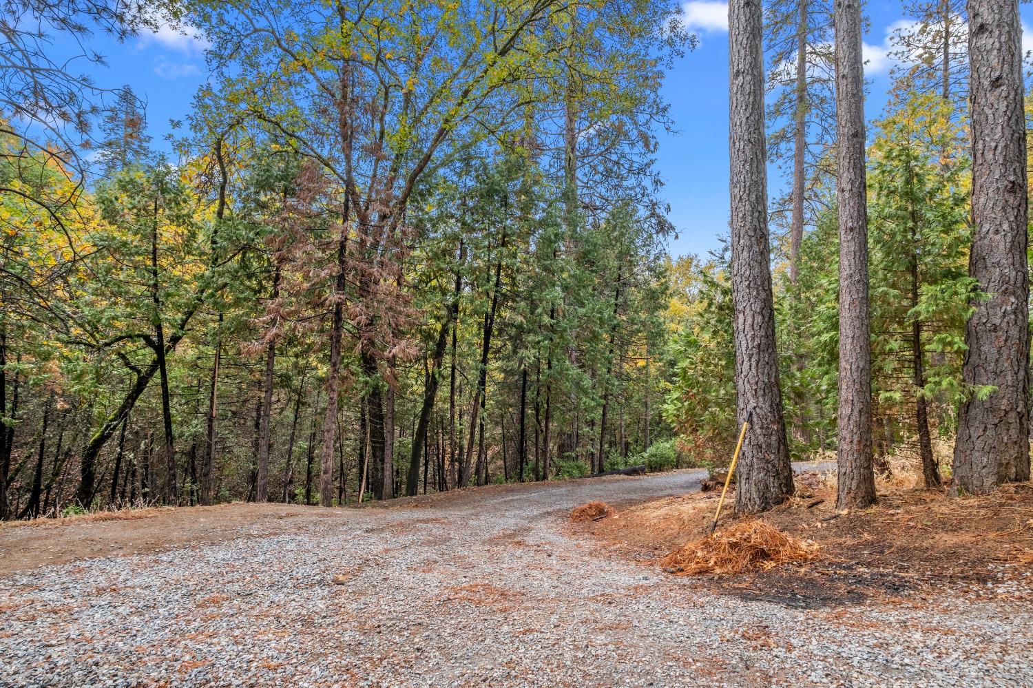 Detail Gallery Image 34 of 52 For 4935 Dowell Ln, Placerville,  CA 95667 - 3 Beds | 2 Baths