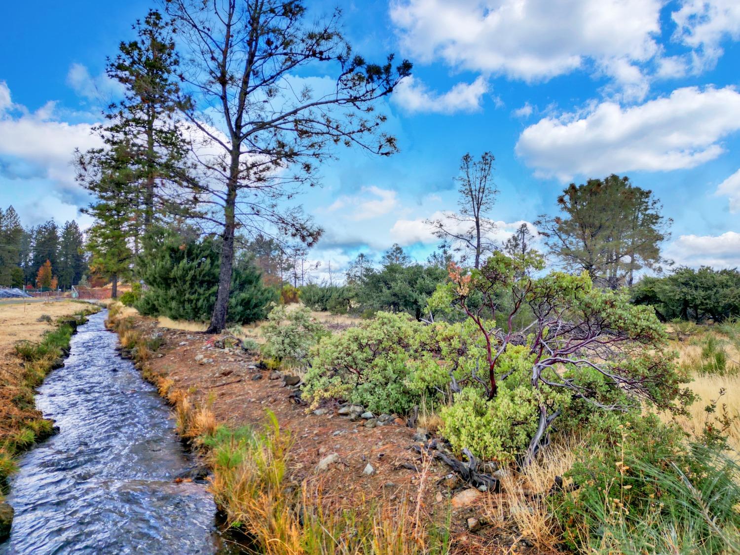 Detail Gallery Image 63 of 78 For 145 Upper Slate Creek Rd, Grass Valley,  CA 95945 - – Beds | – Baths