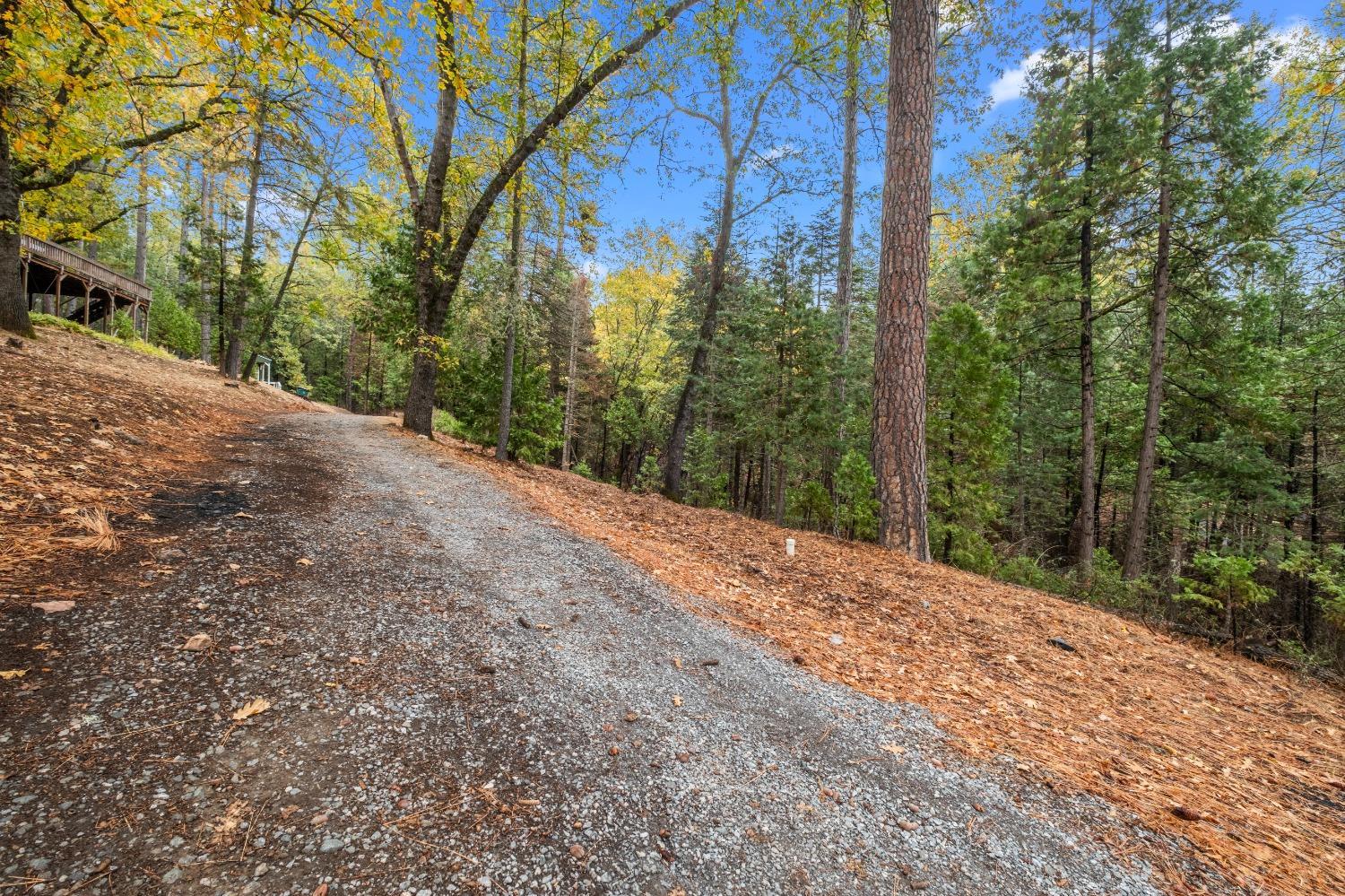 Detail Gallery Image 49 of 52 For 4935 Dowell Ln, Placerville,  CA 95667 - 3 Beds | 2 Baths