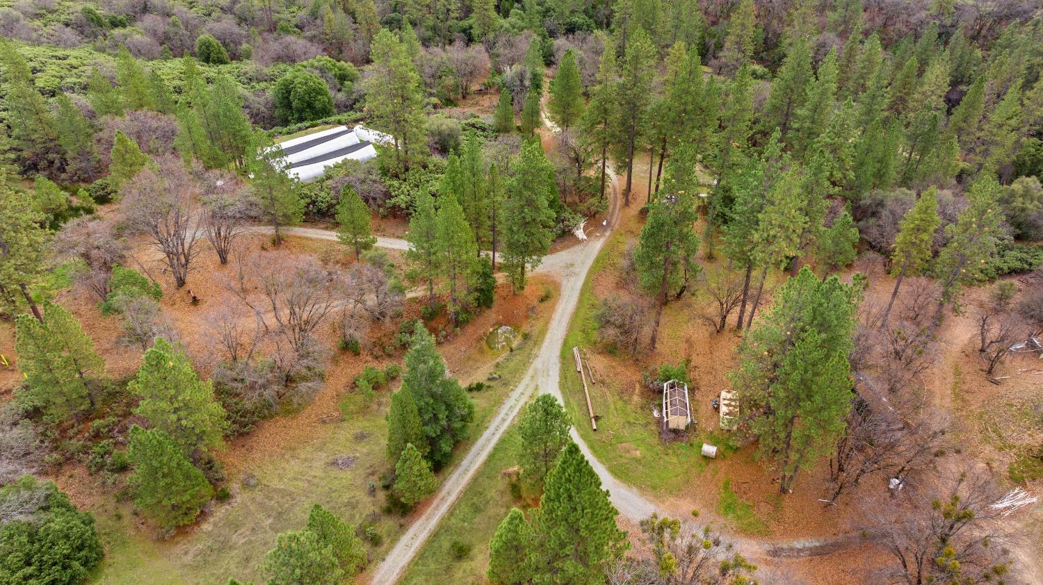 Detail Gallery Image 33 of 42 For 22338 Hyatt Rd, Nevada City,  CA 95959 - – Beds | – Baths