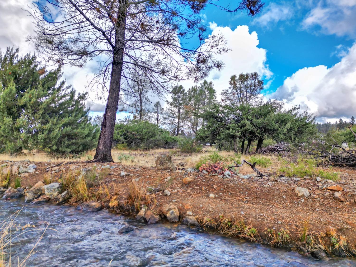 Detail Gallery Image 70 of 78 For 145 Upper Slate Creek Rd, Grass Valley,  CA 95945 - – Beds | – Baths