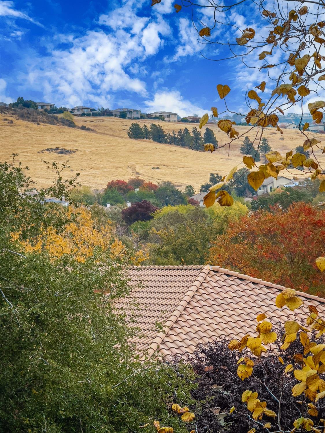 Detail Gallery Image 32 of 33 For 4029 Redondo Dr, El Dorado Hills,  CA 95762 - 3 Beds | 2 Baths