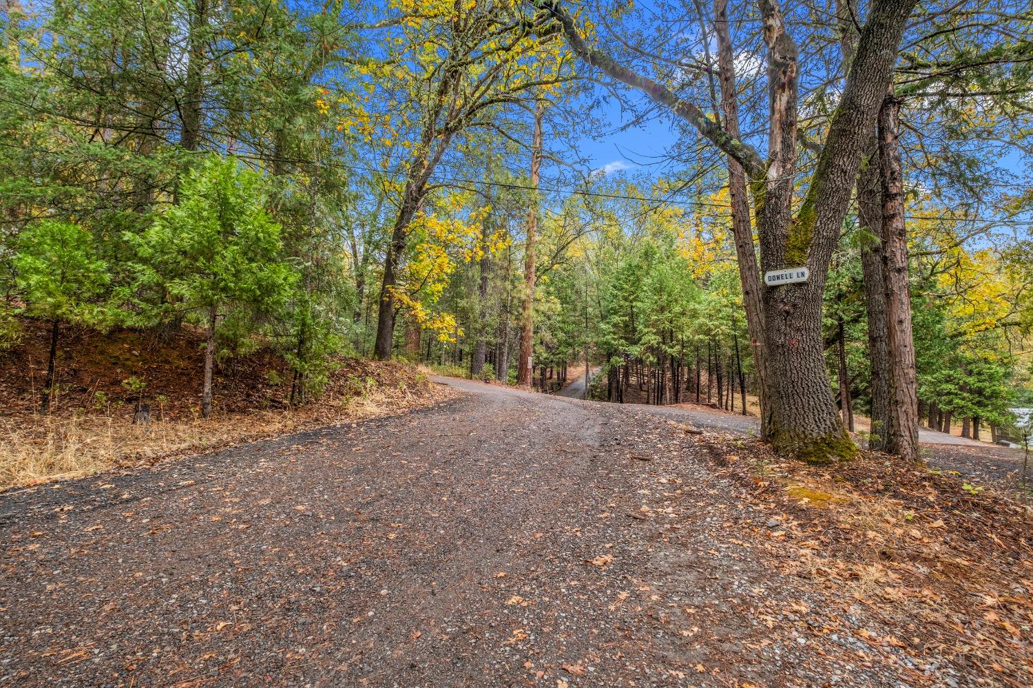 Detail Gallery Image 46 of 52 For 4935 Dowell Ln, Placerville,  CA 95667 - 3 Beds | 2 Baths