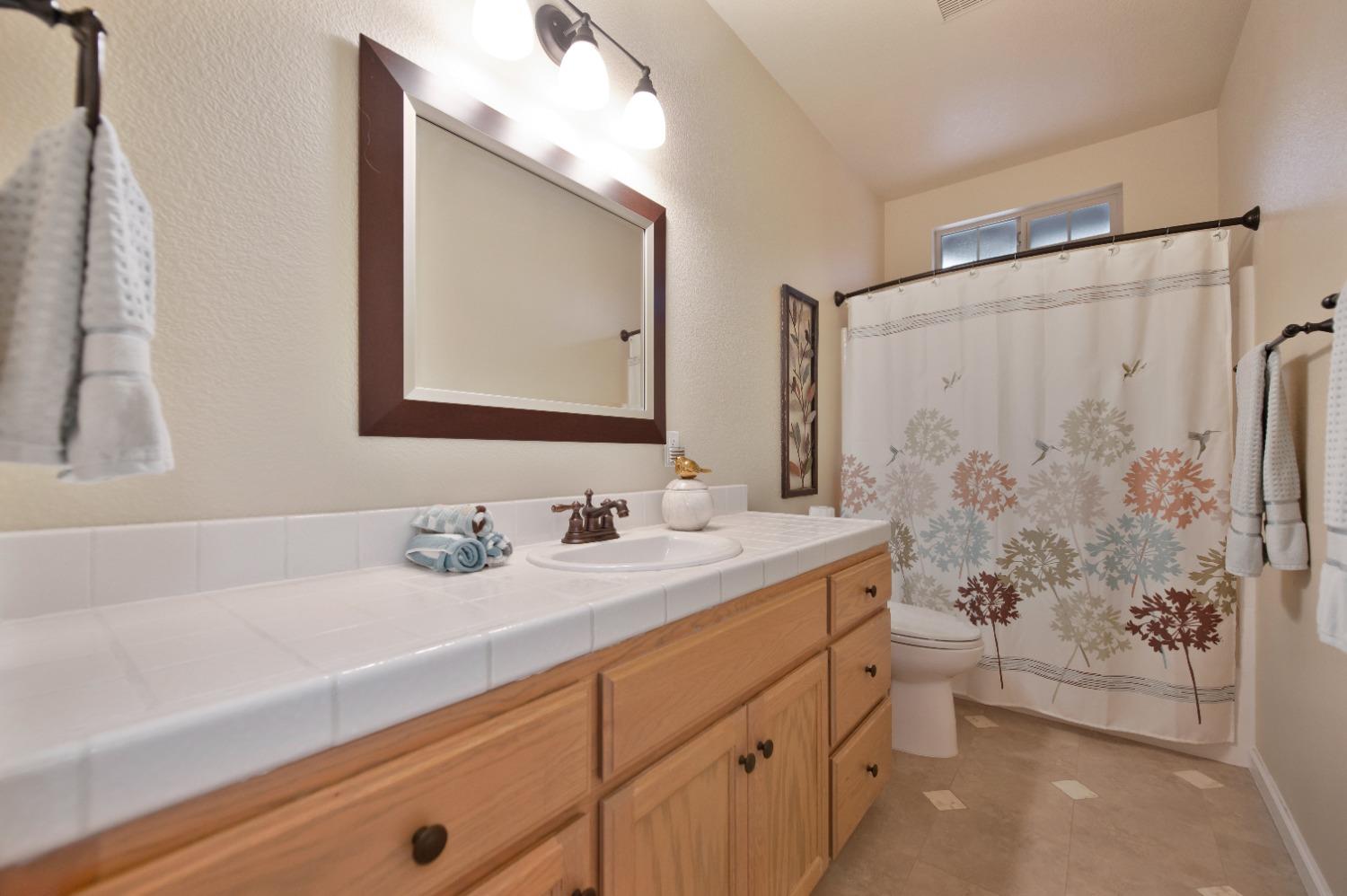 Detail Gallery Image 19 of 29 For 1287 Vintage Way, Auburn,  CA 95603 - 4 Beds | 4 Baths