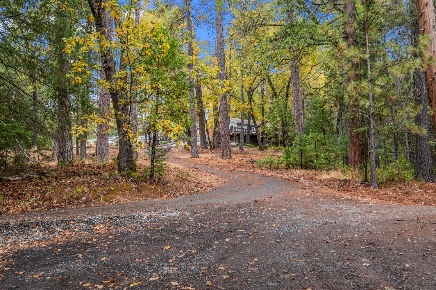 Detail Gallery Image 47 of 52 For 4935 Dowell Ln, Placerville,  CA 95667 - 3 Beds | 2 Baths