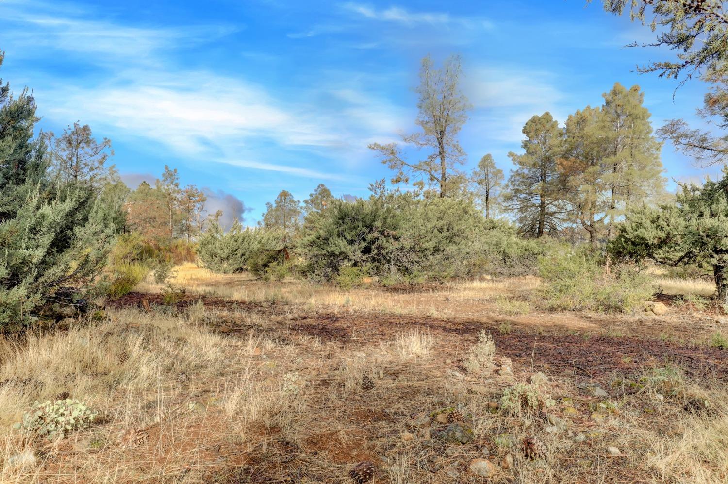 Detail Gallery Image 39 of 78 For 145 Upper Slate Creek Rd, Grass Valley,  CA 95945 - – Beds | – Baths