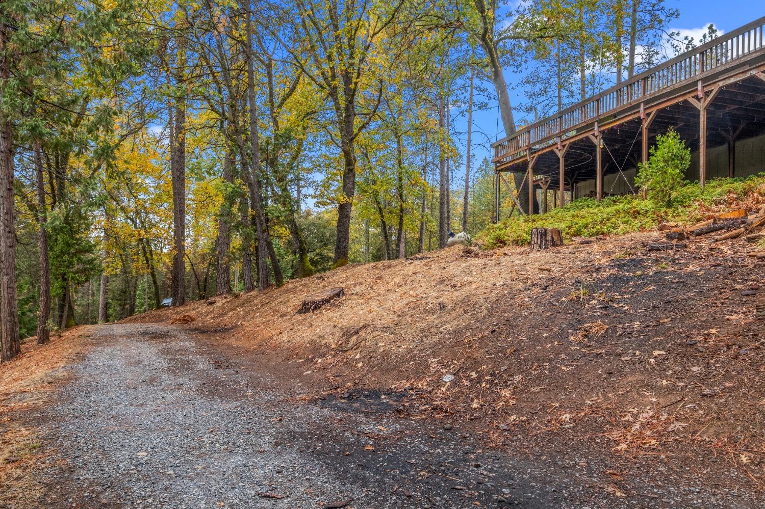 Detail Gallery Image 31 of 52 For 4935 Dowell Ln, Placerville,  CA 95667 - 3 Beds | 2 Baths