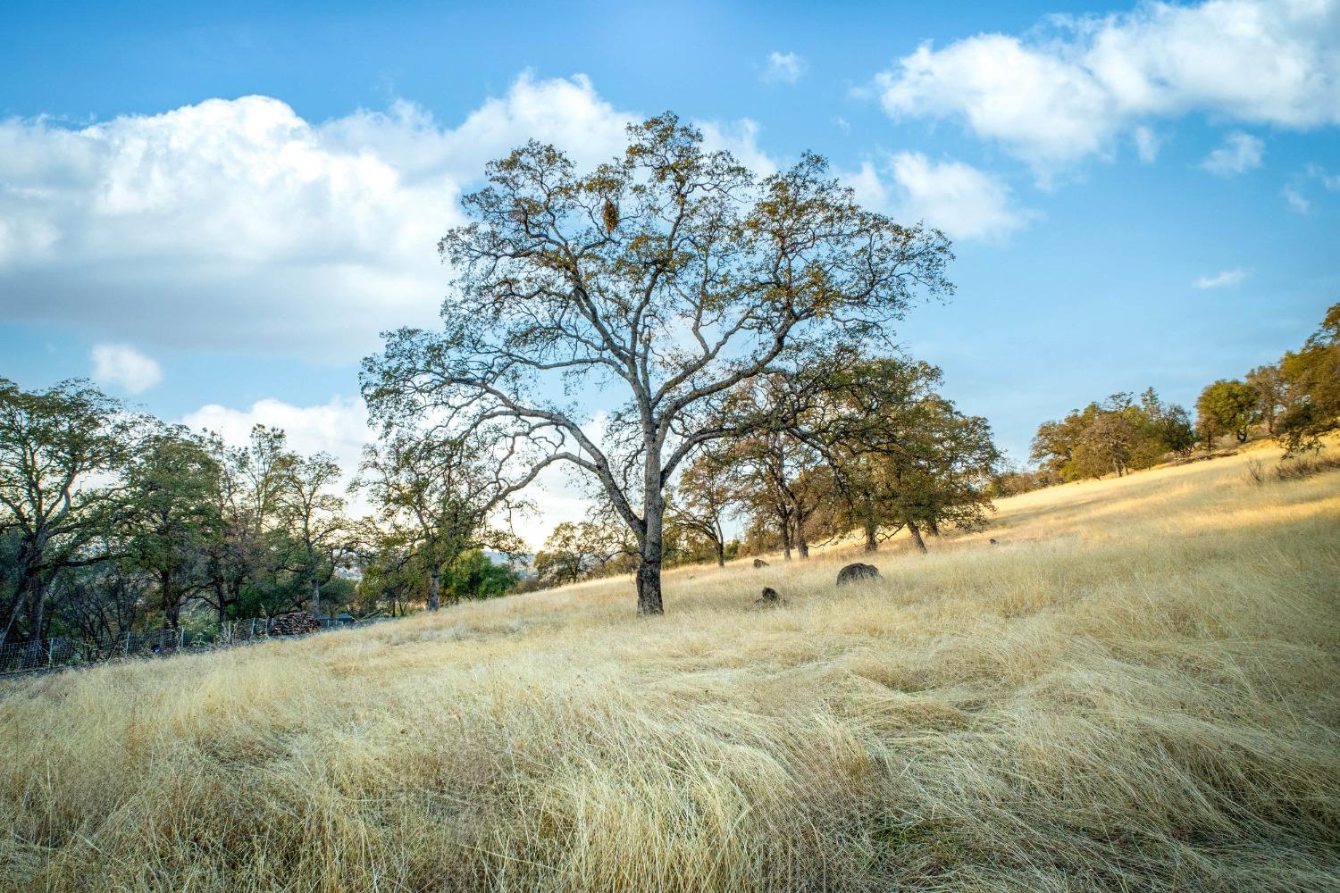 Detail Gallery Image 29 of 36 For 0 Michelle Way, Browns Valley,  CA 95918 - – Beds | – Baths