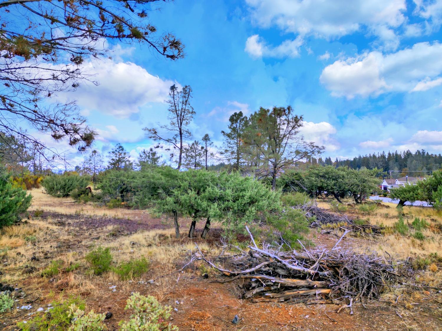 Detail Gallery Image 67 of 78 For 145 Upper Slate Creek Rd, Grass Valley,  CA 95945 - – Beds | – Baths