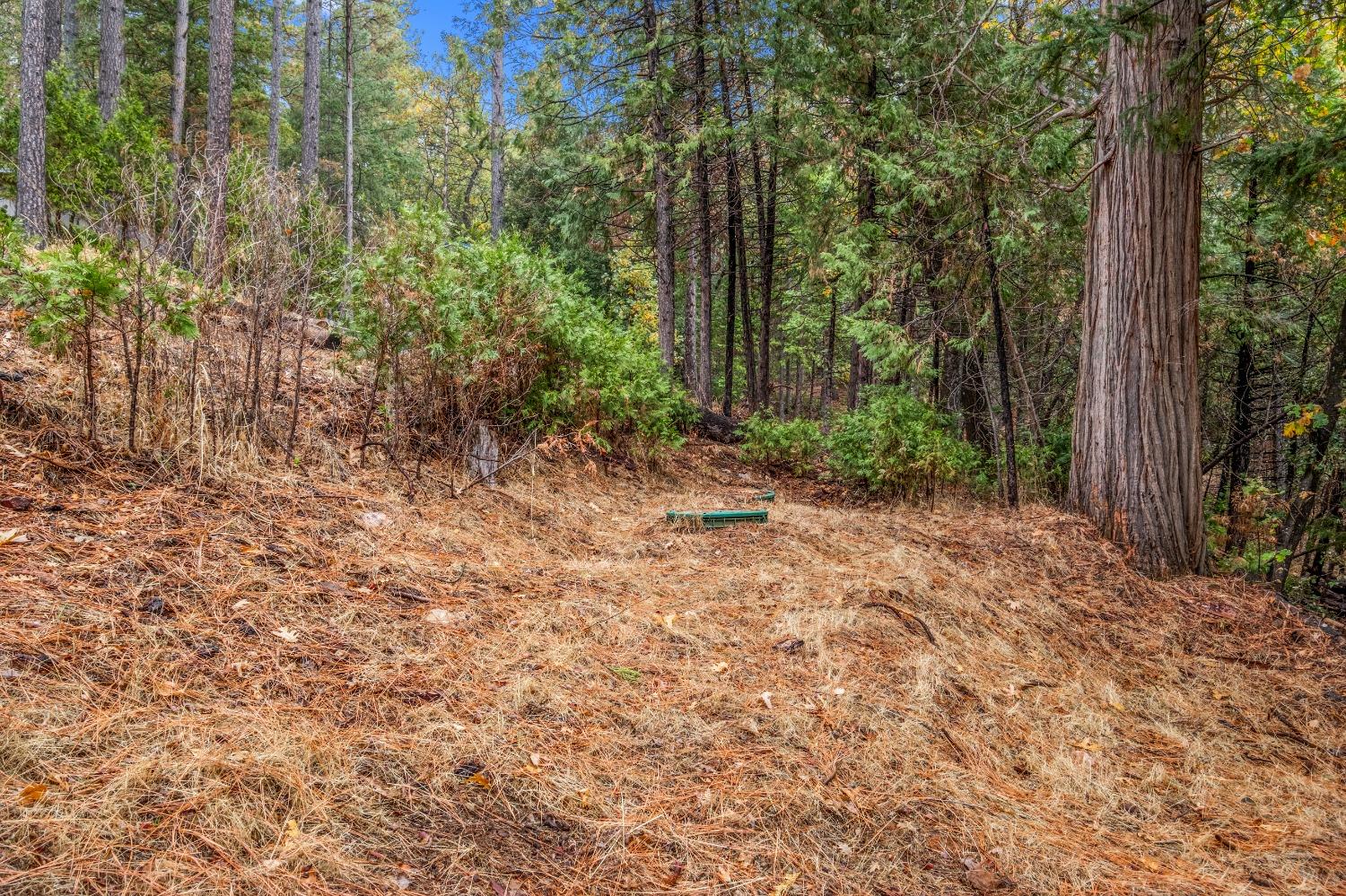 Detail Gallery Image 51 of 52 For 4935 Dowell Ln, Placerville,  CA 95667 - 3 Beds | 2 Baths