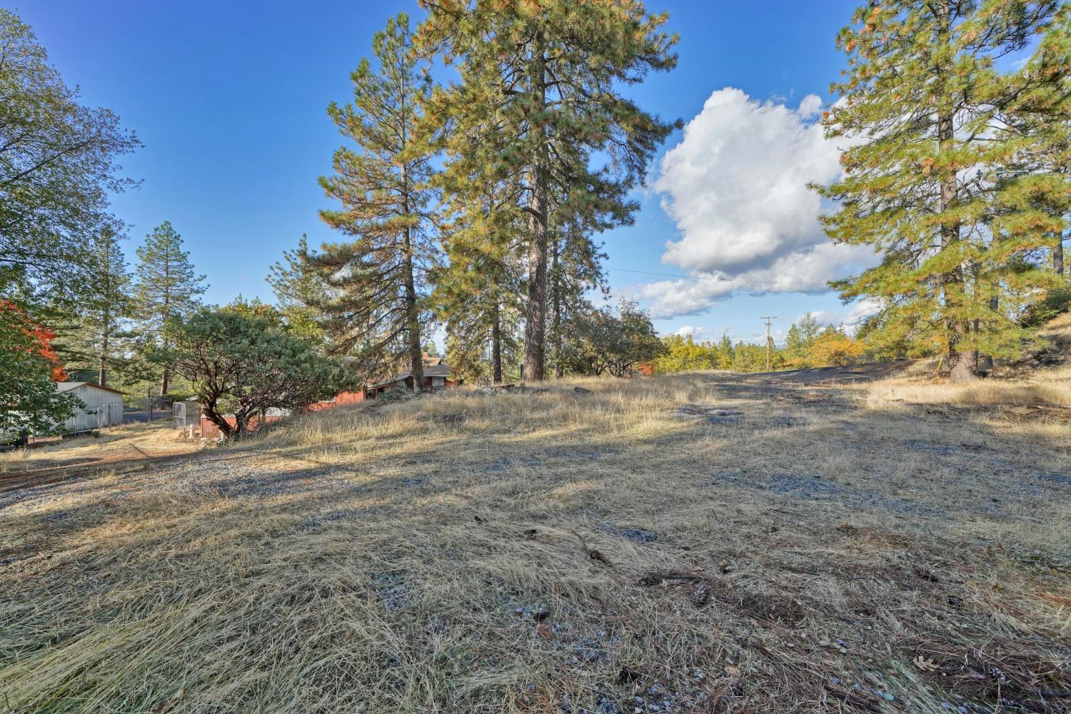 Detail Gallery Image 16 of 47 For 2434 Morrene Dr, Placerville,  CA 95667 - 3 Beds | 2 Baths