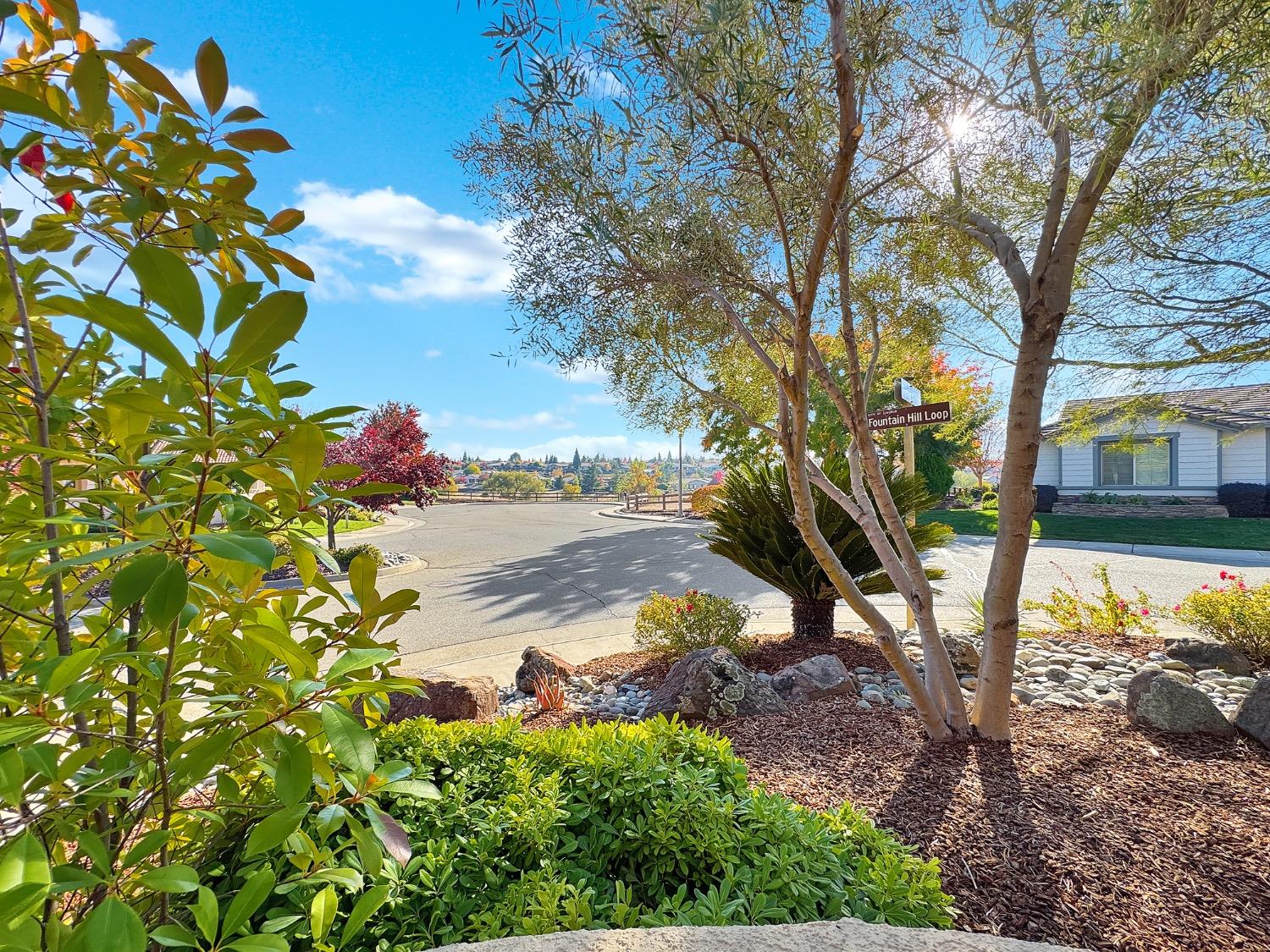 Detail Gallery Image 11 of 50 For 2550 Fountain Hill Loop, Lincoln,  CA 95648 - 2 Beds | 2 Baths