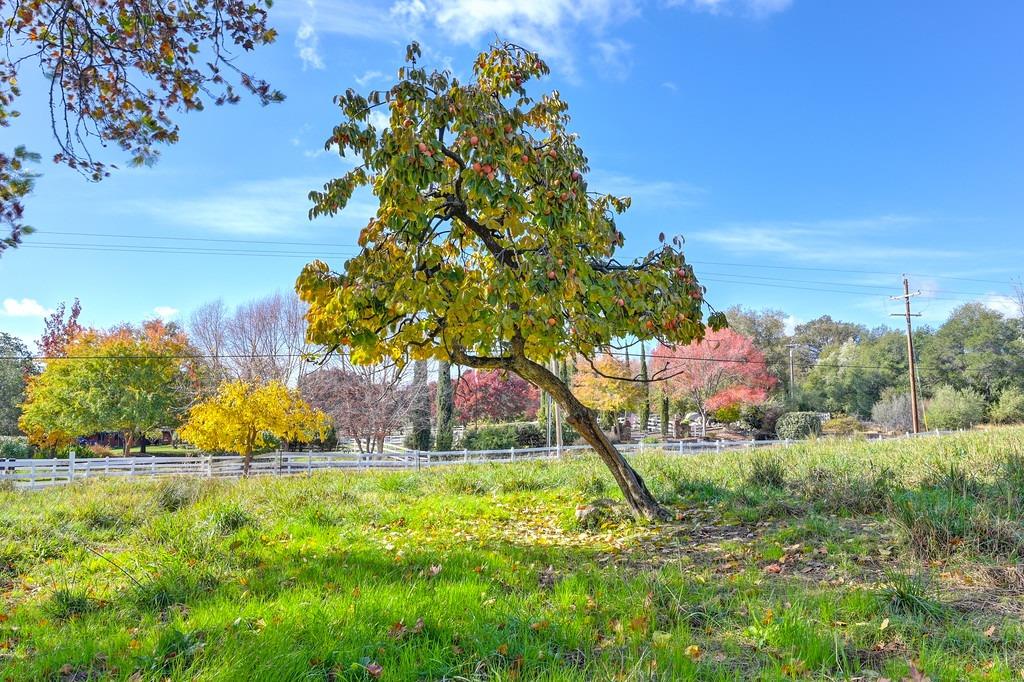 Detail Gallery Image 14 of 69 For Address Is Not Disclosed, Newcastle,  CA 95658 - 2 Beds | 1 Baths