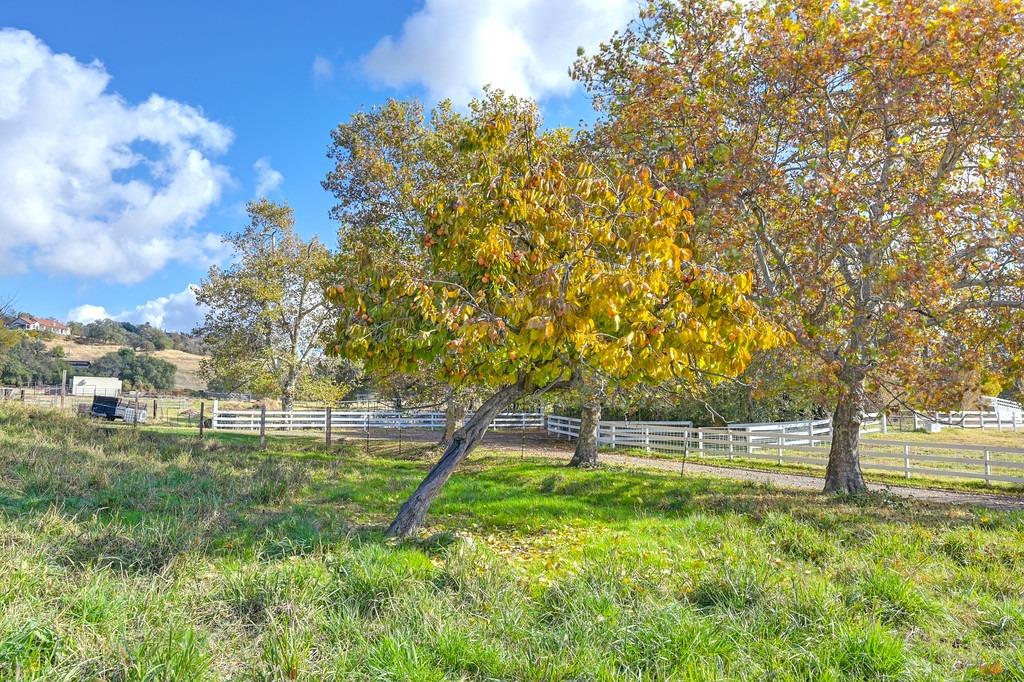 Detail Gallery Image 13 of 69 For Address Is Not Disclosed, Newcastle,  CA 95658 - 2 Beds | 1 Baths