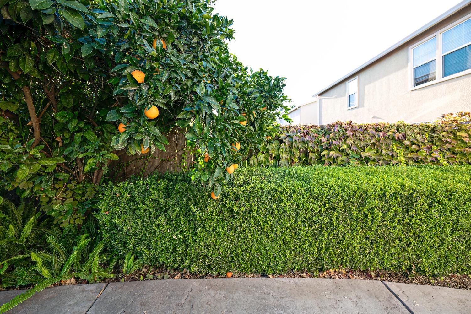 Detail Gallery Image 7 of 23 For 1144 Solstice Ave, Merced,  CA 95348 - 4 Beds | 2/1 Baths