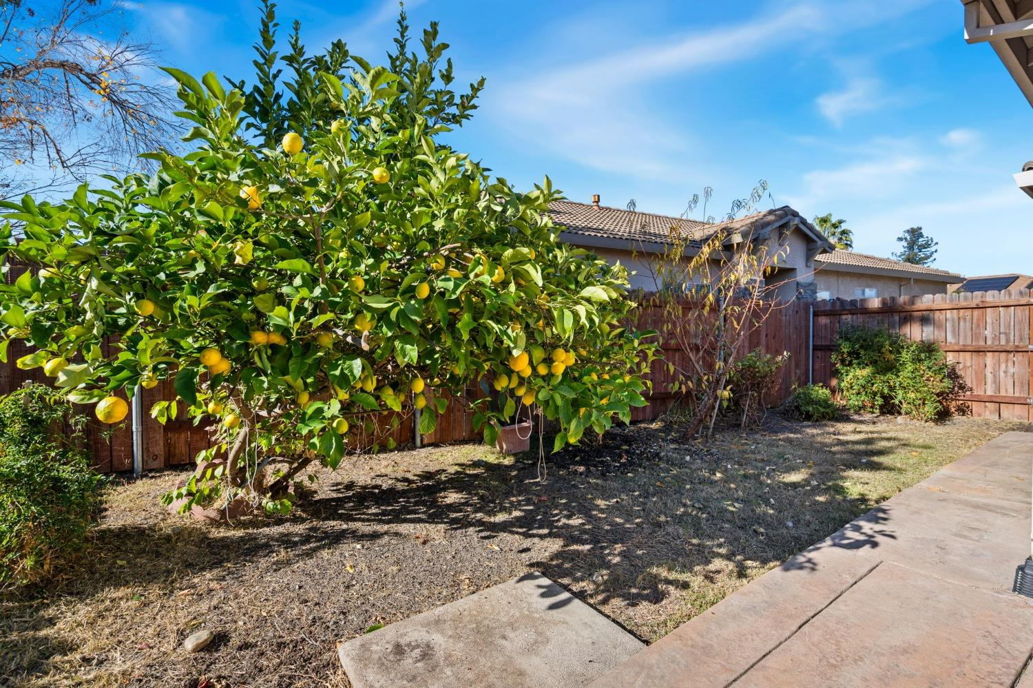 Detail Gallery Image 21 of 31 For 310 Arnold Gamble Cir, Sacramento,  CA 95835 - 3 Beds | 2 Baths