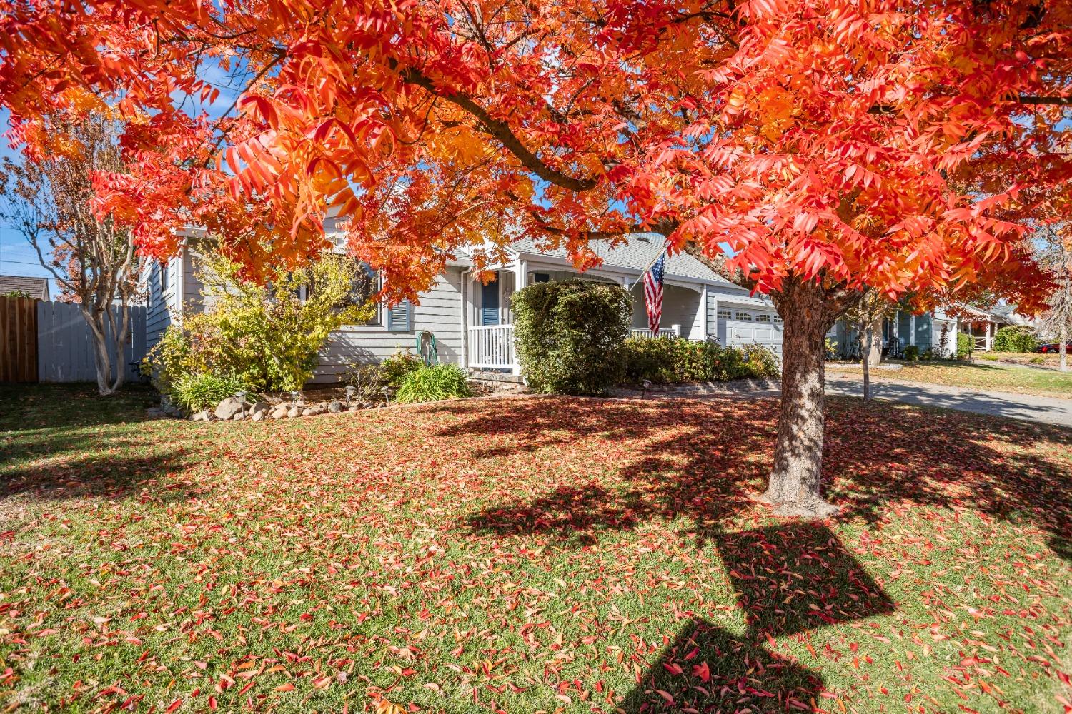 Detail Gallery Image 43 of 43 For 2221 Landon Ln, Sacramento,  CA 95825 - 4 Beds | 2/1 Baths