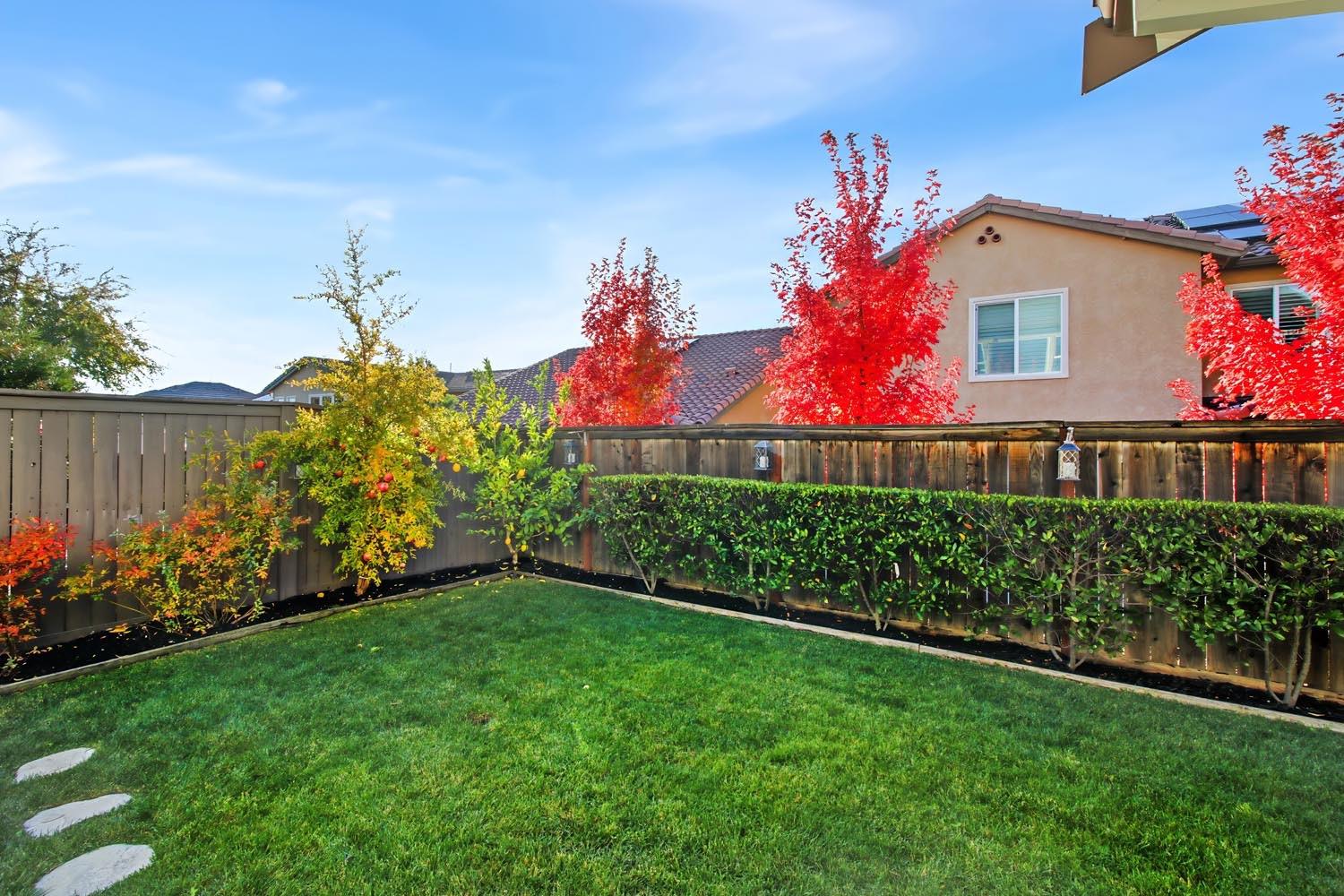 Detail Gallery Image 48 of 52 For 809 Calico Dr, Rocklin,  CA 95765 - 4 Beds | 3/1 Baths