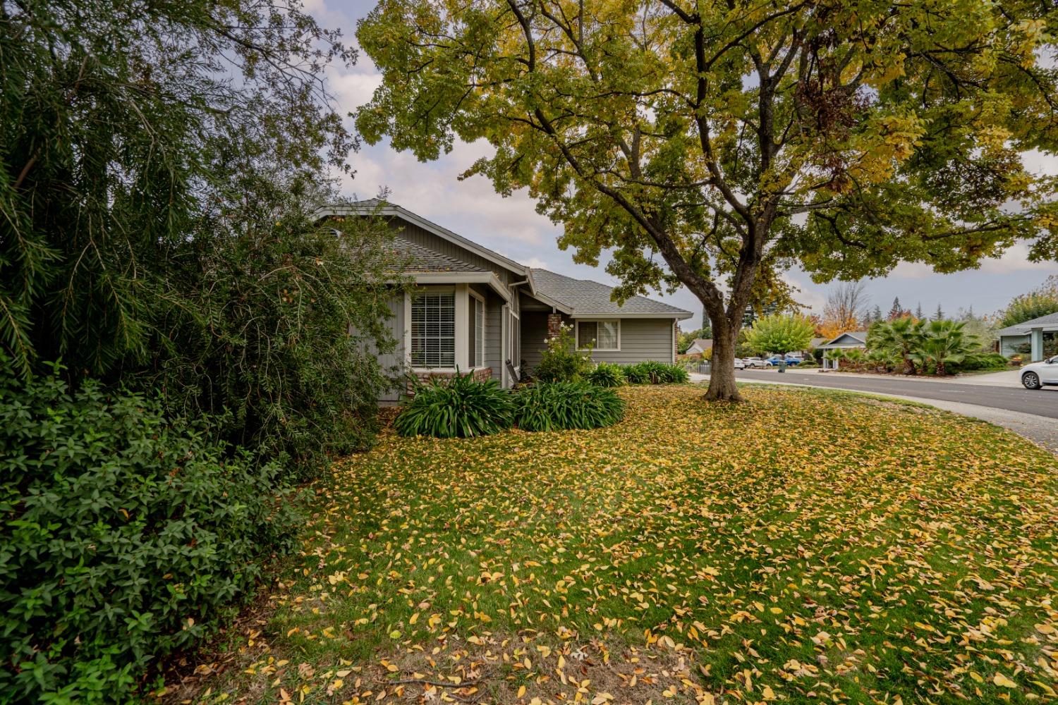 Detail Gallery Image 53 of 55 For 5910 Willowynd Dr, Rocklin,  CA 95677 - 4 Beds | 2 Baths