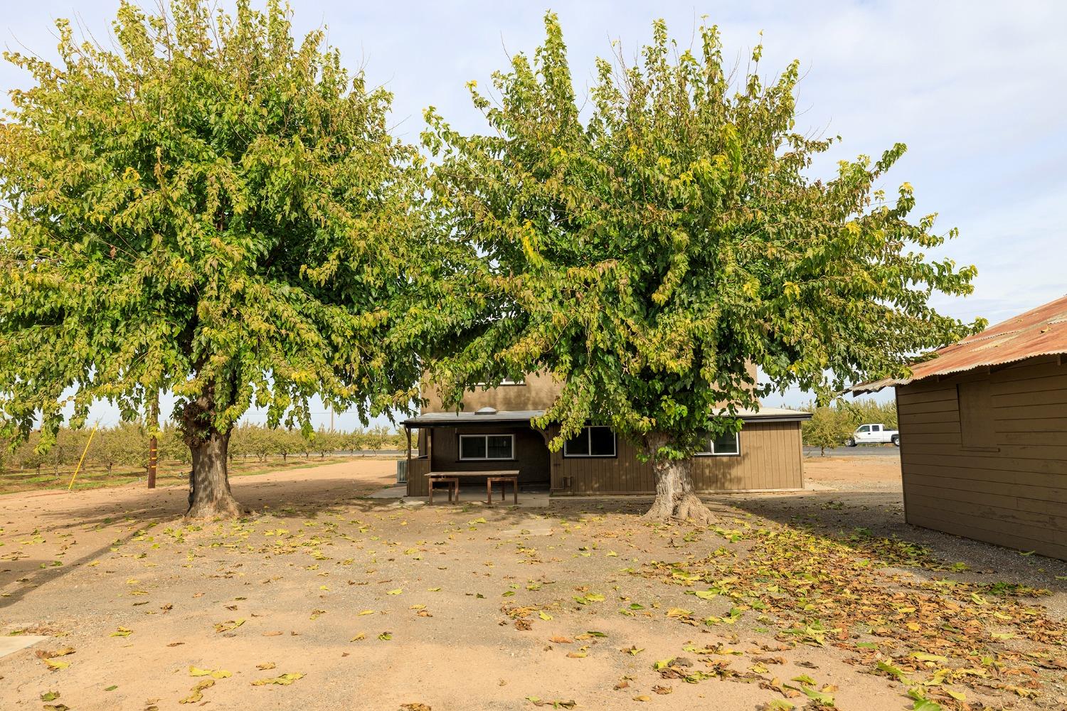 Detail Gallery Image 53 of 77 For 22484 Mariposa Rd, Escalon,  CA 95320 - 3 Beds | 1/1 Baths