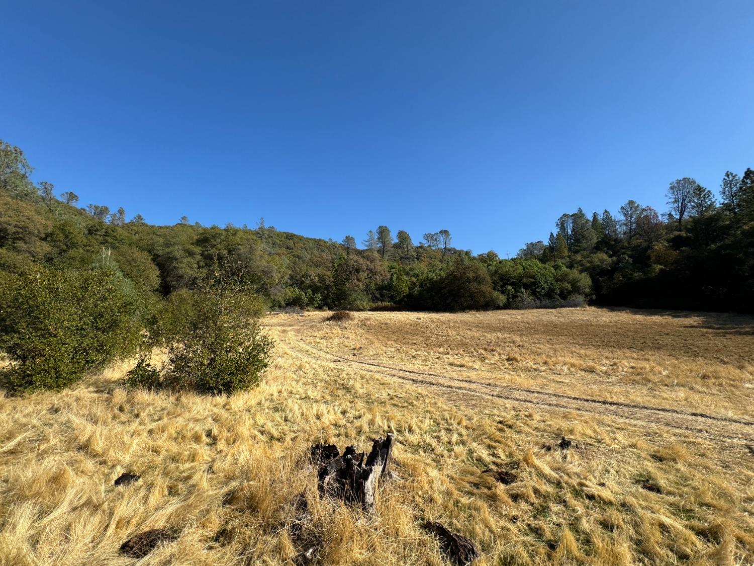 Detail Gallery Image 7 of 23 For 0 County Rd 270, Oregon House,  CA 95962 - – Beds | – Baths