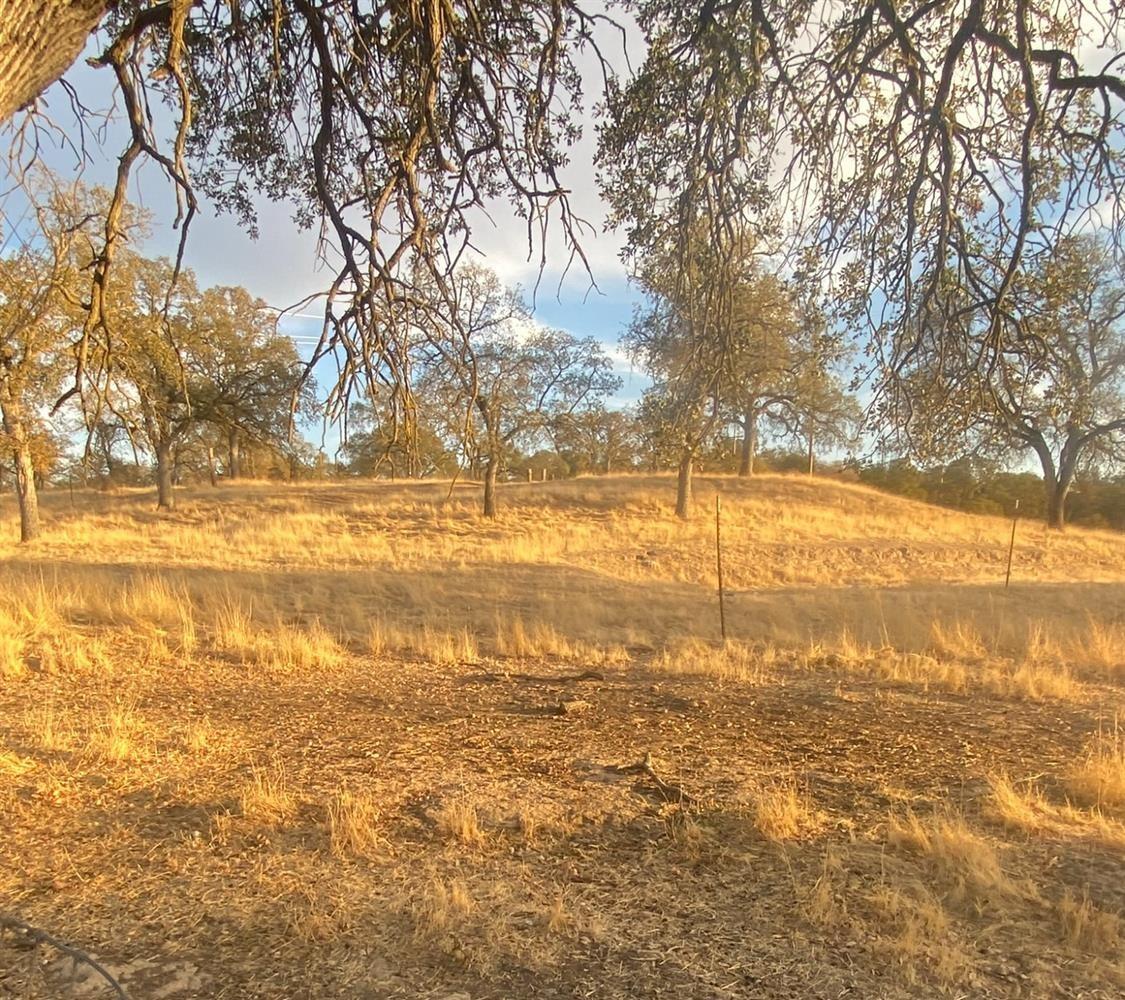 Detail Gallery Image 29 of 40 For 45 Stone Corral Ct, Linden,  CA 95236 - 1 Beds | 1 Baths