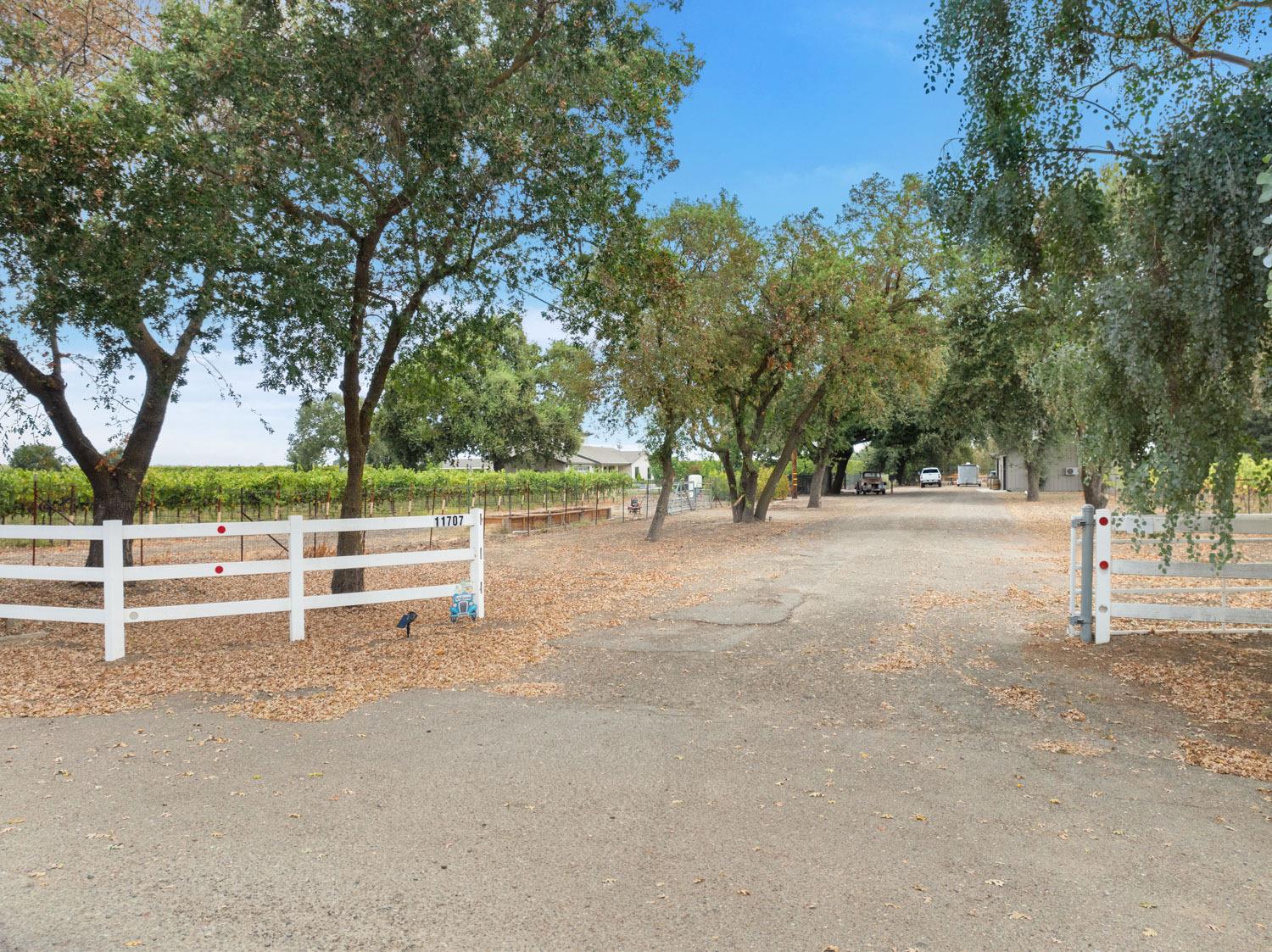 Detail Gallery Image 85 of 86 For 11707 N Alpine Rd, Lodi,  CA 95240 - 3 Beds | 2/1 Baths