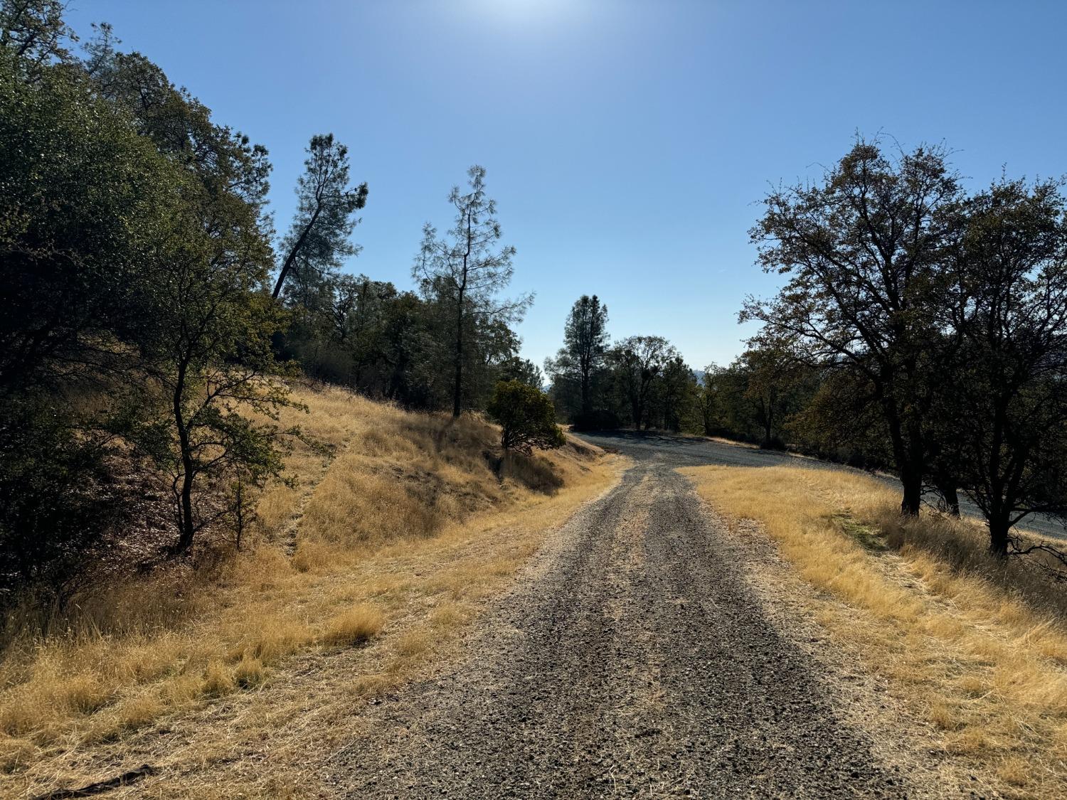 Detail Gallery Image 10 of 29 For 0 County Rd 270, Oregon House,  CA 95962 - – Beds | – Baths