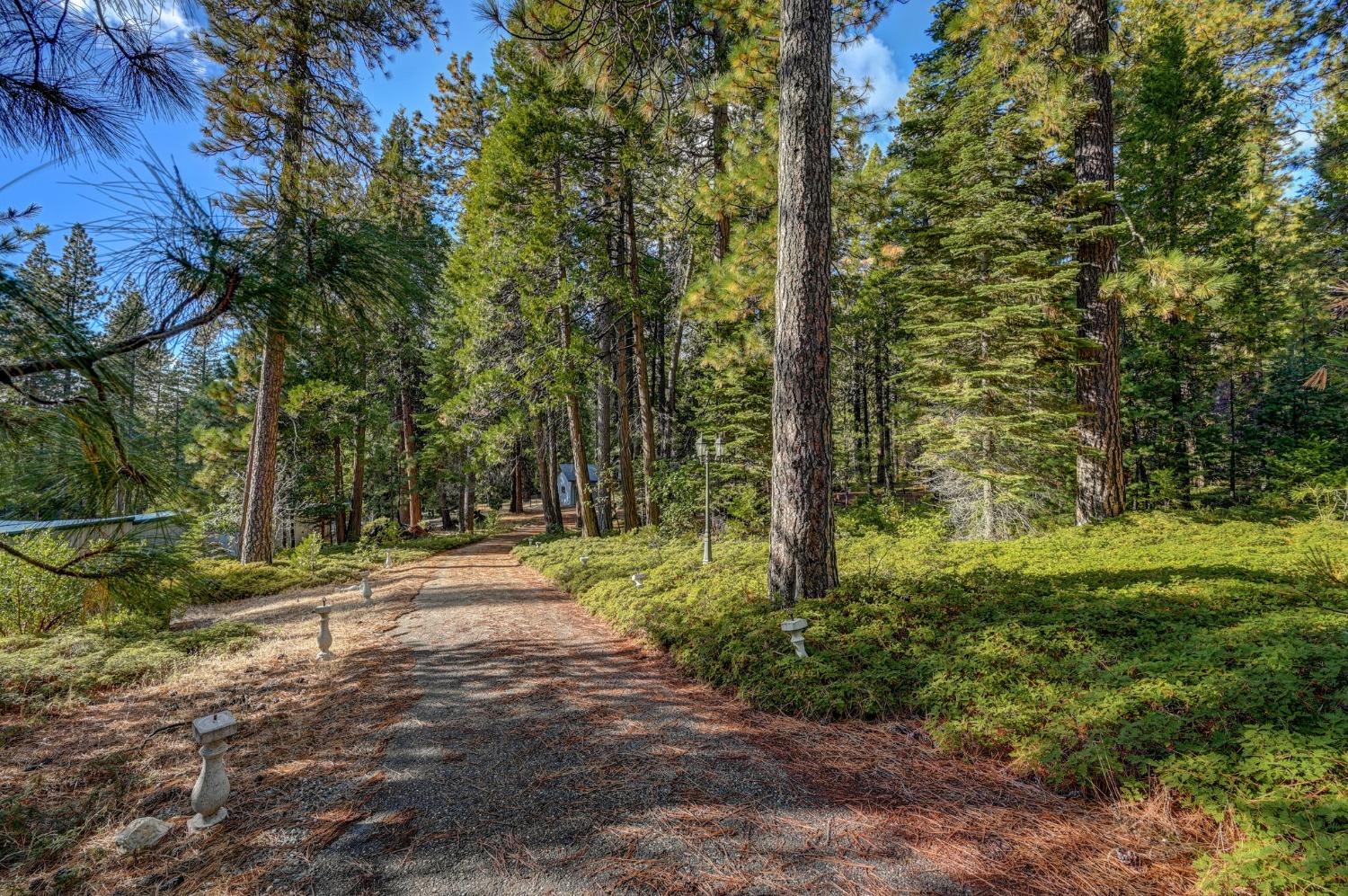 Detail Gallery Image 53 of 57 For 27349 State Highway 88, Pioneer,  CA 95666 - 3 Beds | 3 Baths