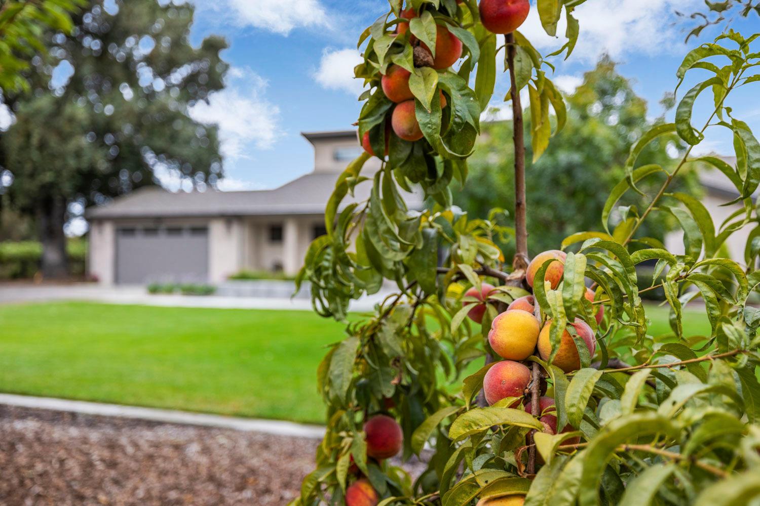 Detail Gallery Image 65 of 86 For 11707 N Alpine Rd, Lodi,  CA 95240 - 3 Beds | 2/1 Baths