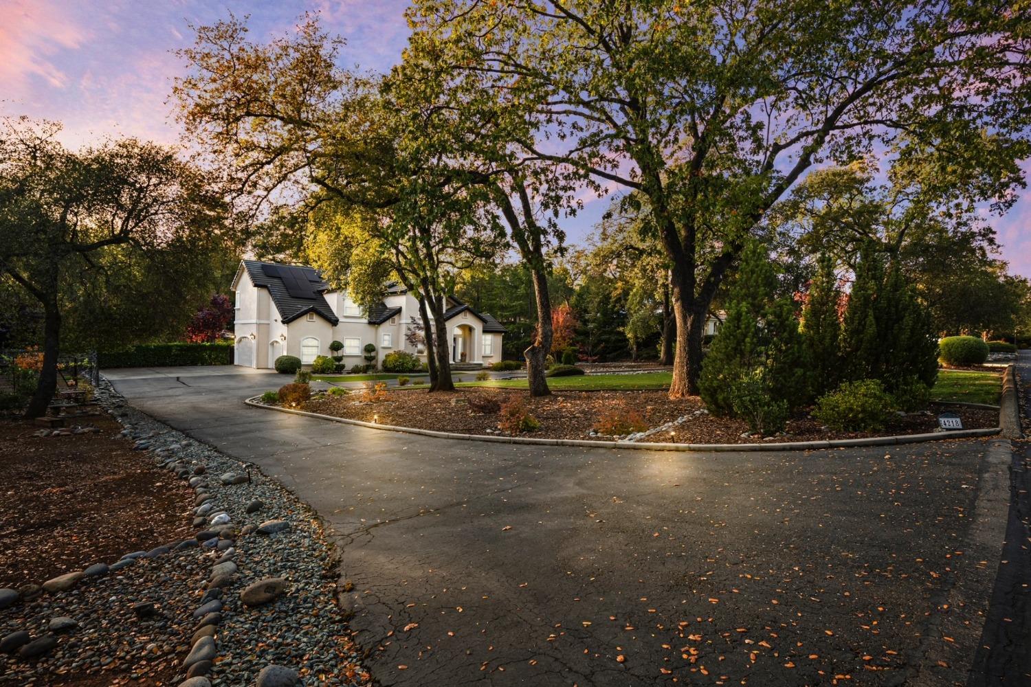 Detail Gallery Image 5 of 93 For 4218 Vega Loop, Shingle Springs,  CA 95682 - 3 Beds | 3 Baths