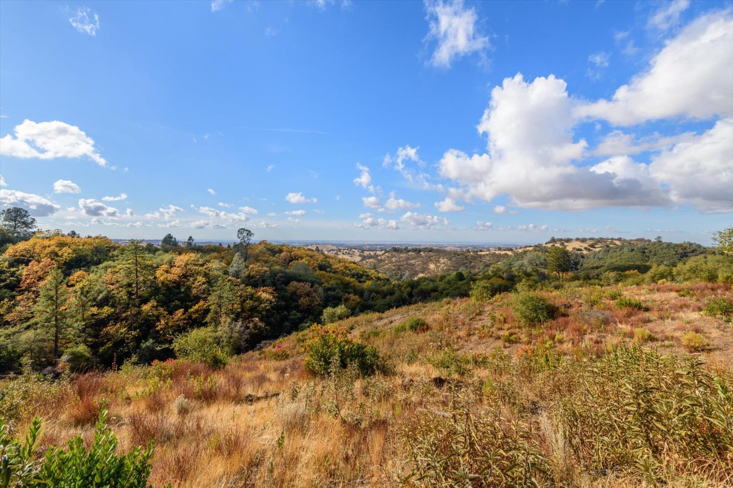 Detail Gallery Image 36 of 49 For 12000 Twin Pines Rd, Sutter Creek,  CA 95685 - 2 Beds | 1 Baths