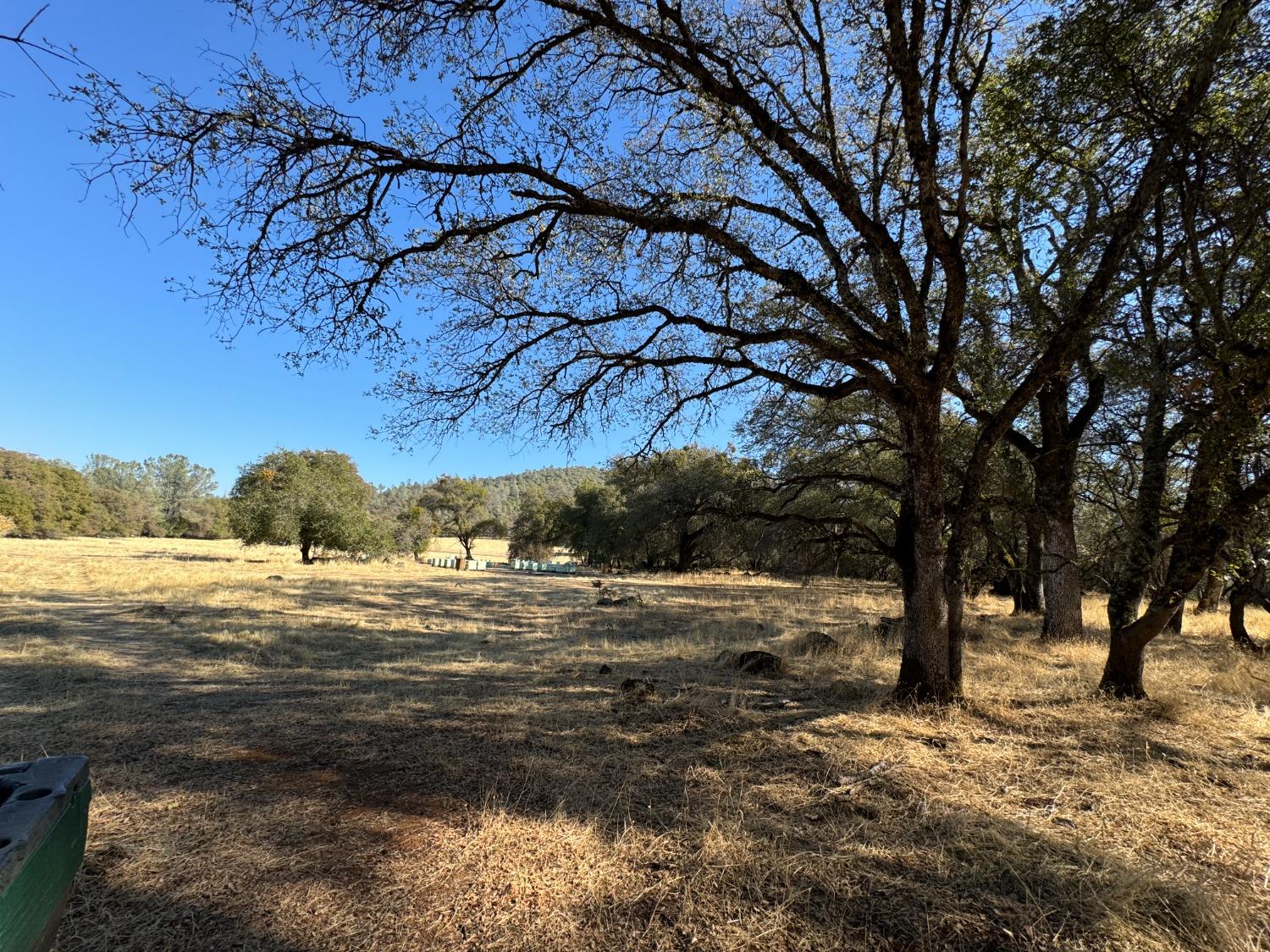 Detail Gallery Image 17 of 23 For 0 County Rd 270, Oregon House,  CA 95962 - – Beds | – Baths