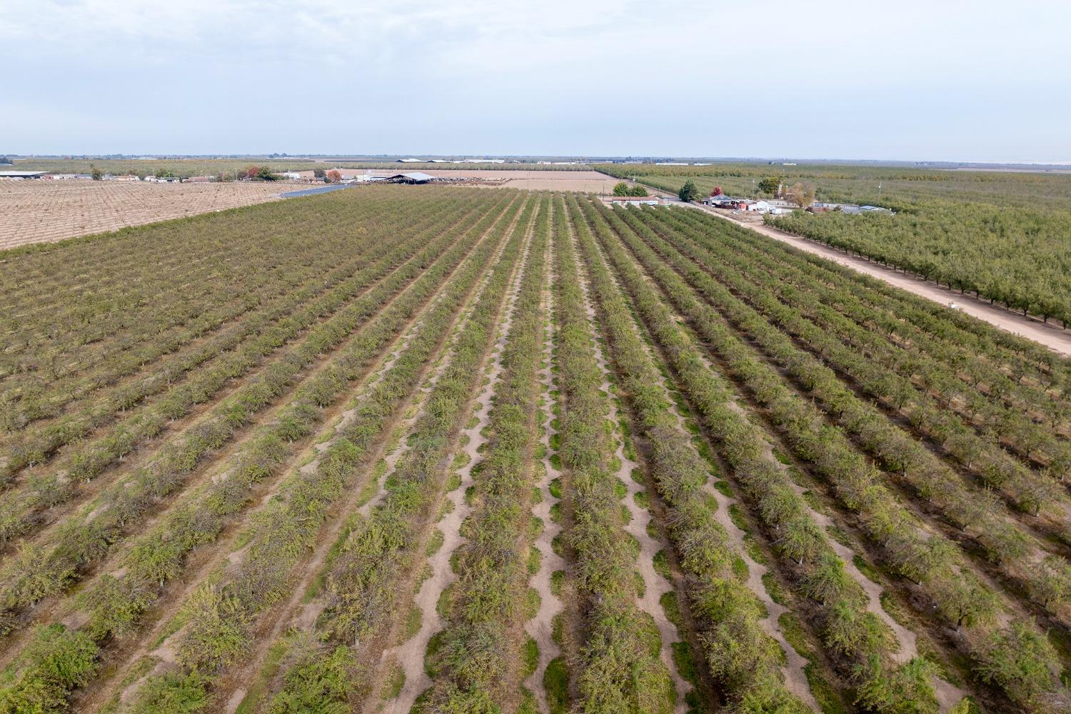 Detail Gallery Image 67 of 77 For 22484 Mariposa Rd, Escalon,  CA 95320 - 3 Beds | 1/1 Baths