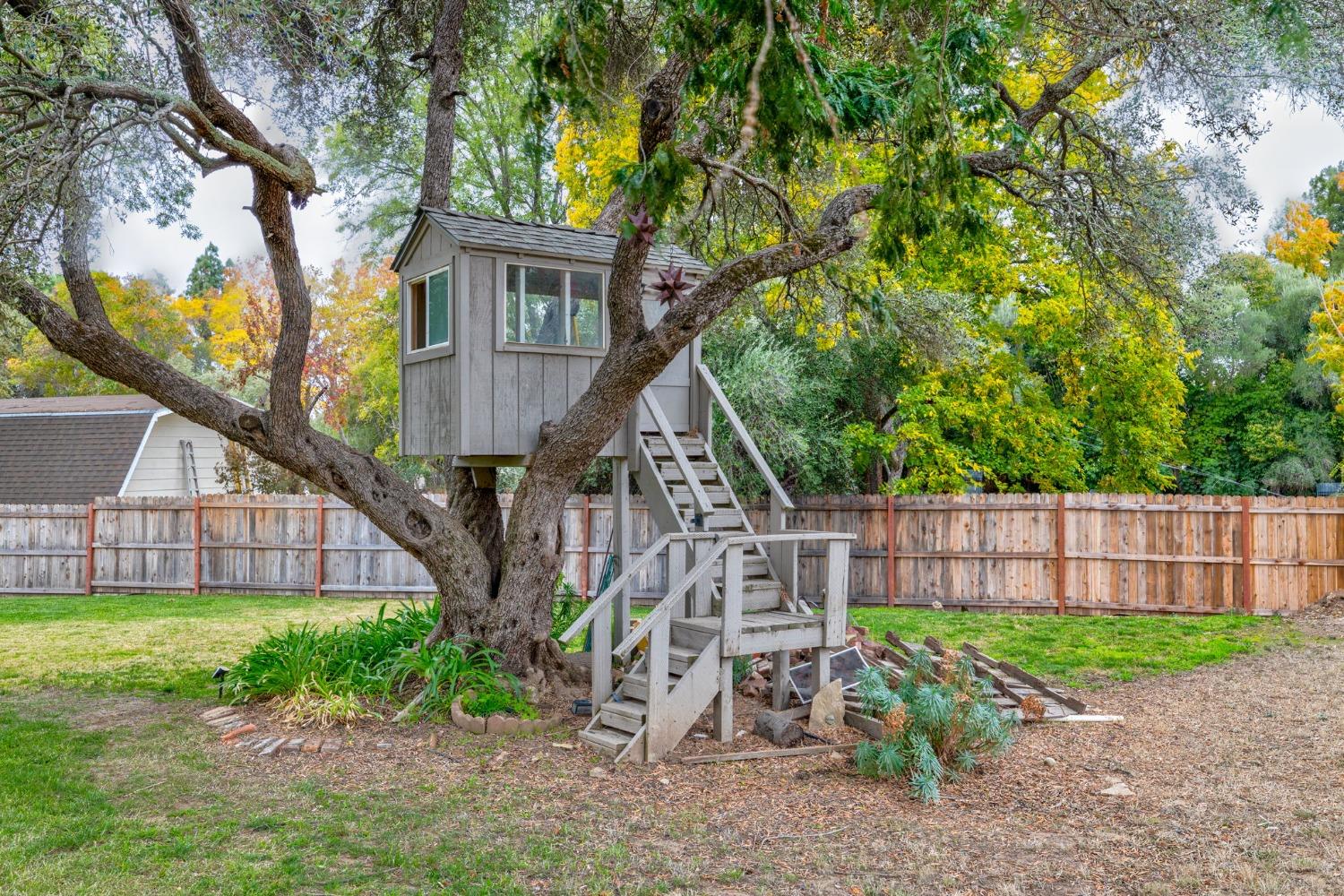 Detail Gallery Image 56 of 82 For 8755 Winding Way, Fair Oaks,  CA 95628 - 4 Beds | 2/1 Baths