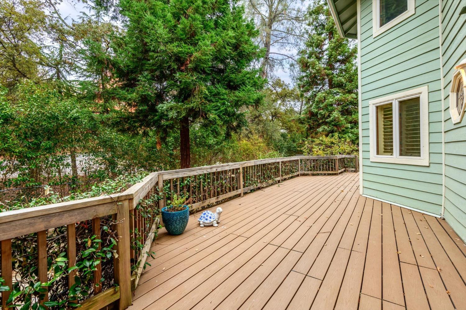 Detail Gallery Image 31 of 47 For 4385 Blanchard, Placerville,  CA 95667 - 4 Beds | 2/1 Baths