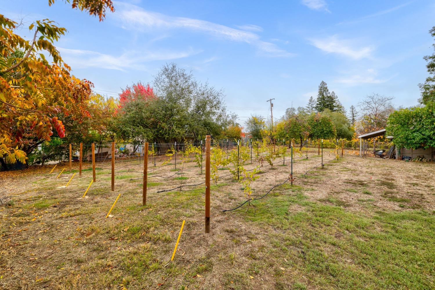 Detail Gallery Image 57 of 82 For 8755 Winding Way, Fair Oaks,  CA 95628 - 4 Beds | 2/1 Baths