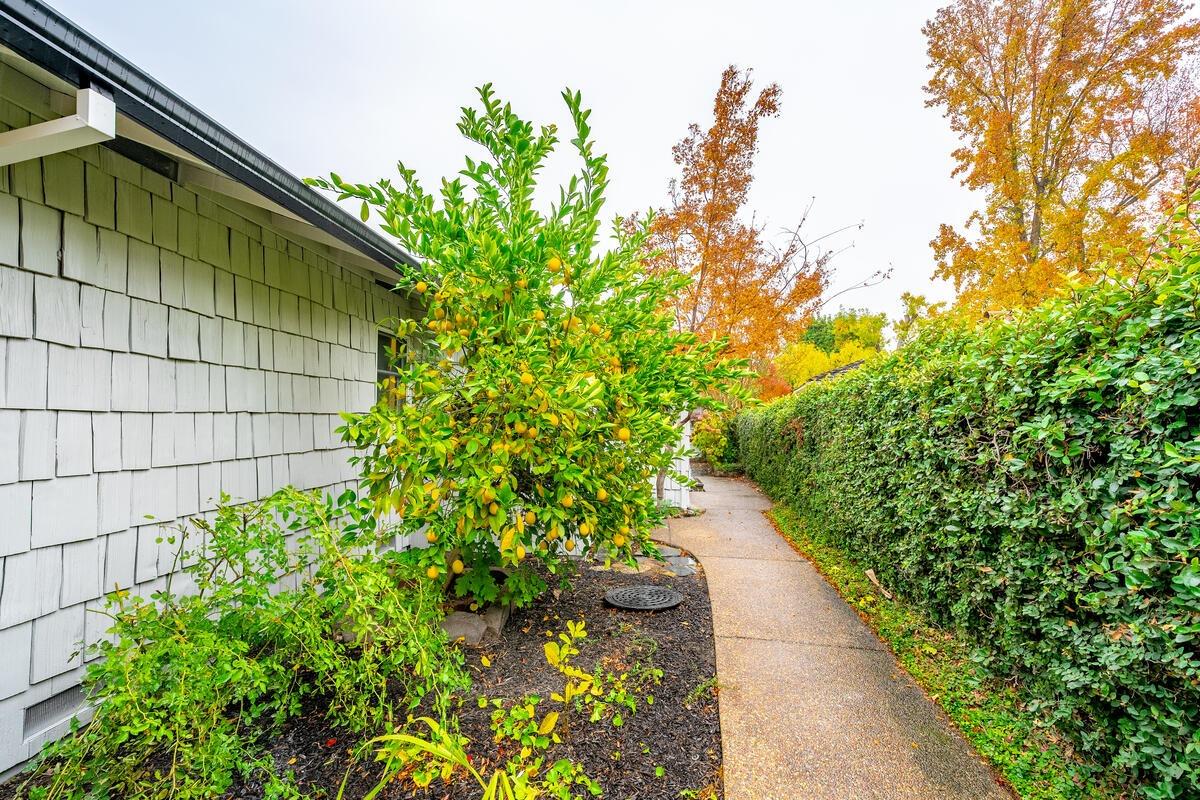 Detail Gallery Image 51 of 61 For 819 Casmalia Way, Sacramento,  CA 95864 - 3 Beds | 2 Baths