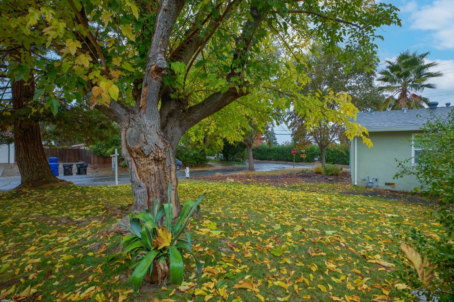 Detail Gallery Image 19 of 20 For 8176 Waikiki Dr, Fair Oaks,  CA 95628 - 3 Beds | 2 Baths