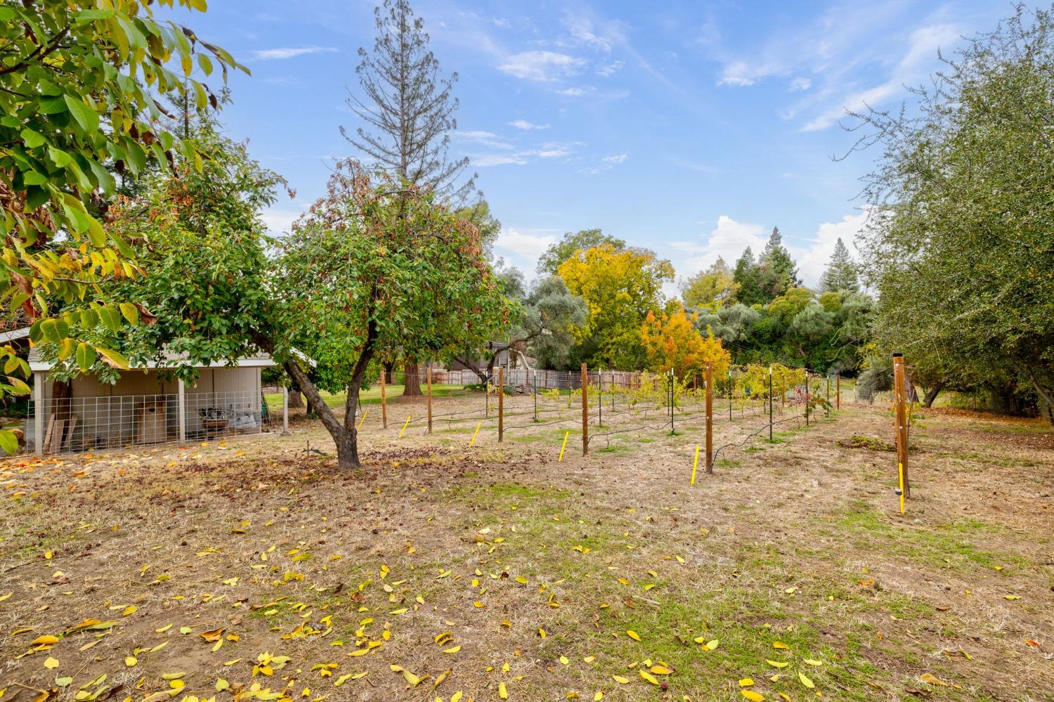 Detail Gallery Image 59 of 82 For 8755 Winding Way, Fair Oaks,  CA 95628 - 4 Beds | 2/1 Baths