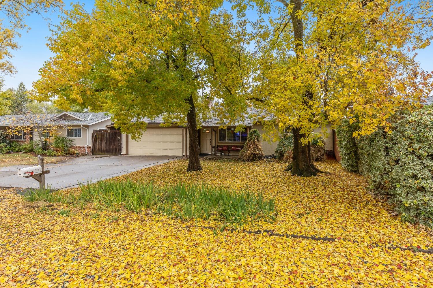 Detail Gallery Image 21 of 36 For 8208 Catalpa Drive, Citrus Heights,  CA 95610 - 3 Beds | 2 Baths