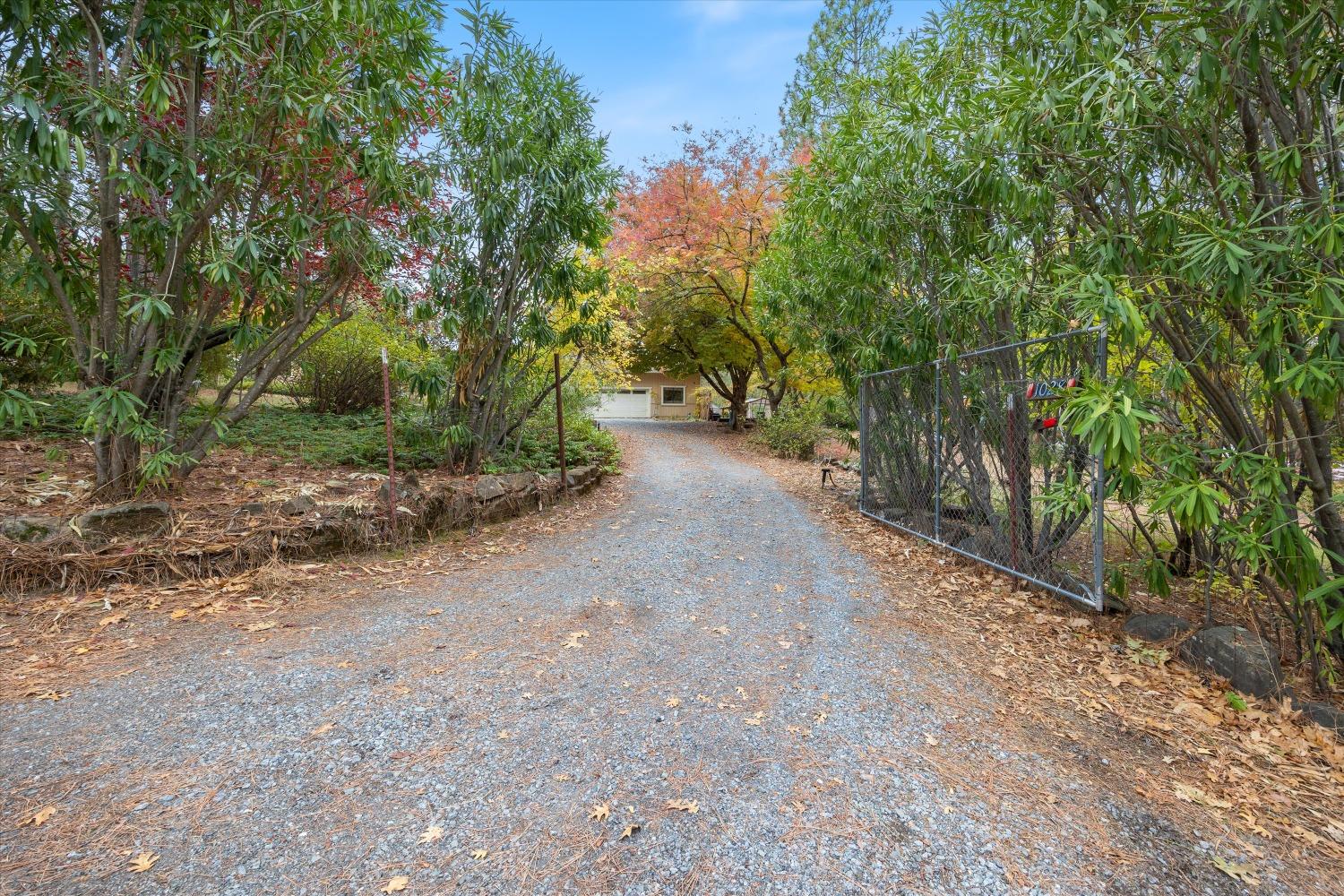 Detail Gallery Image 8 of 63 For 1028 Woodridge Rd, Placerville,  CA 95667 - 3 Beds | 2/1 Baths