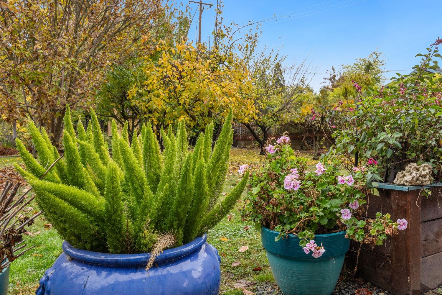 Detail Gallery Image 28 of 36 For 8208 Catalpa Drive, Citrus Heights,  CA 95610 - 3 Beds | 2 Baths