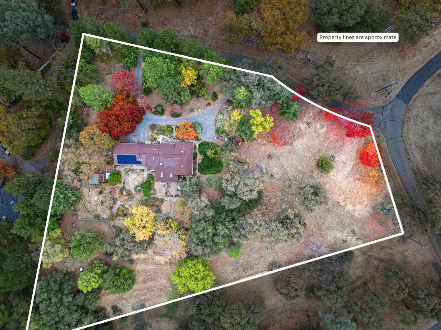 Detail Gallery Image 6 of 63 For 1028 Woodridge Rd, Placerville,  CA 95667 - 3 Beds | 2/1 Baths