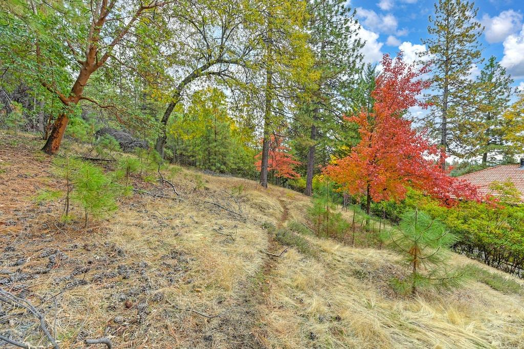 Detail Gallery Image 54 of 78 For 20860 Todd Valley Rd, Foresthill,  CA 95631 - 4 Beds | 3 Baths